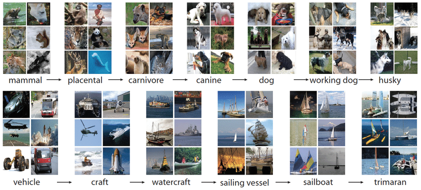 Some ImageNet samples