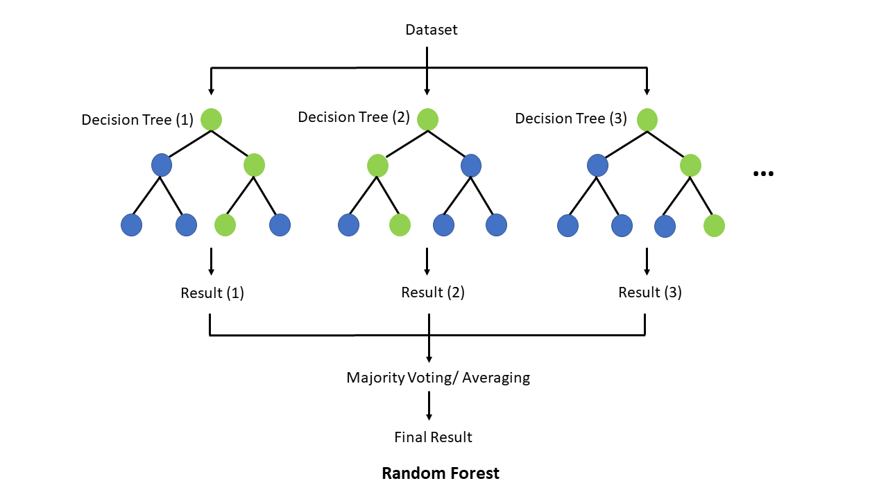 Diagram of a random decision forest